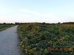 DSCN5179.JPG