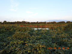 DSCN5180.JPG