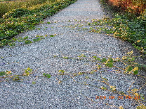 DSCN5182.JPG