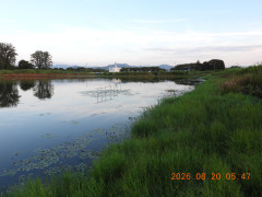 DSCN5199.JPG