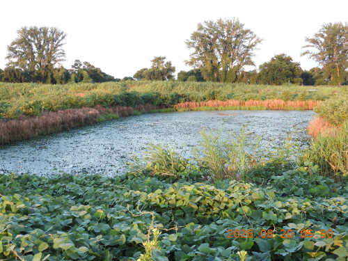 DSCN5200.JPG