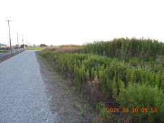 DSCN5201.JPG