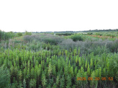 DSCN5202.JPG