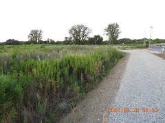 DSCN5203.JPG