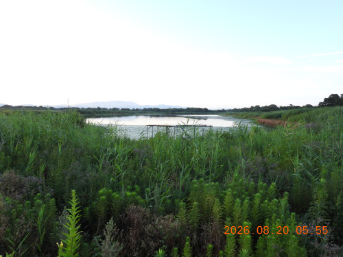 DSCN5205.JPG
