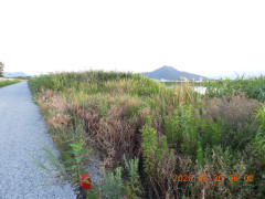 DSCN5206.JPG