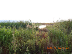 DSCN5207.JPG