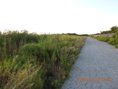 DSCN5208.JPG