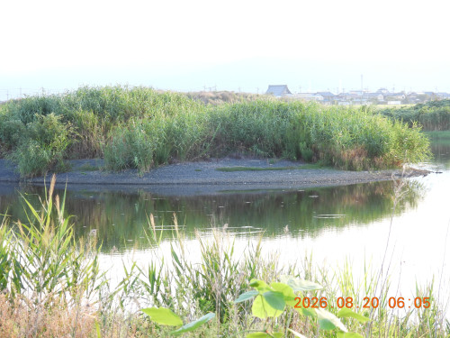DSCN5209.JPG