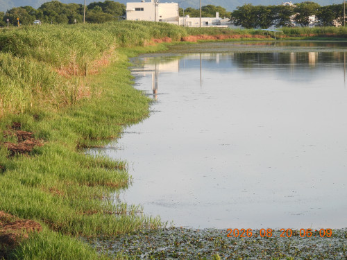 DSCN5210.JPG