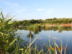 DSCN5214.JPG