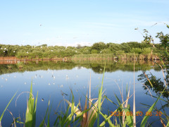 DSCN5215.JPG