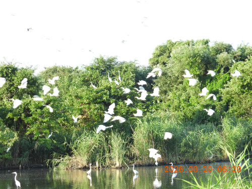 DSCN5218.JPG