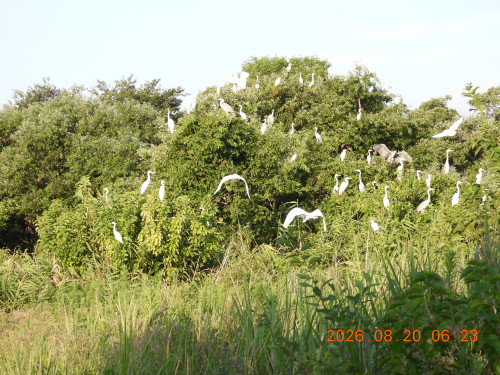 DSCN5220.JPG