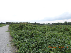 DSCN5223.JPG