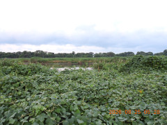 DSCN5224.JPG