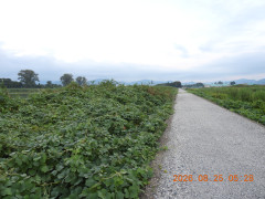DSCN5225.JPG