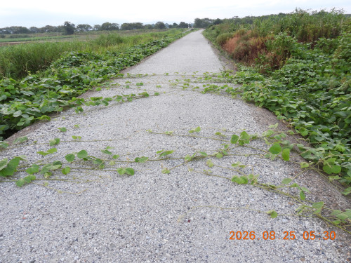 DSCN5226.JPG