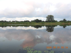 DSCN5228.JPG