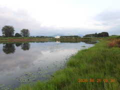 DSCN5229.JPG