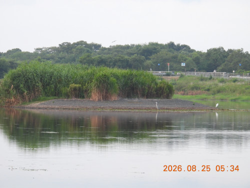 DSCN5230.JPG