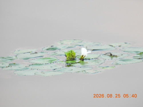 DSCN5236.JPG