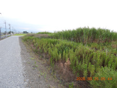 DSCN5237.JPG