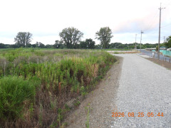 DSCN5239.JPG