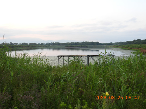 DSCN5240.JPG