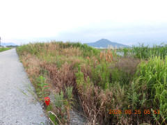 DSCN5243.JPG