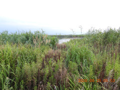 DSCN5244.JPG