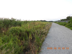 DSCN5245.JPG