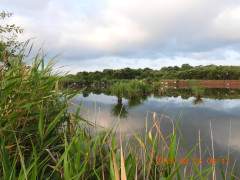 DSCN5250.JPG