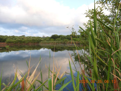 DSCN5251.JPG