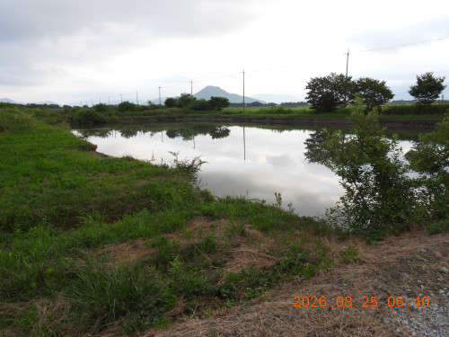 DSCN5295.JPG