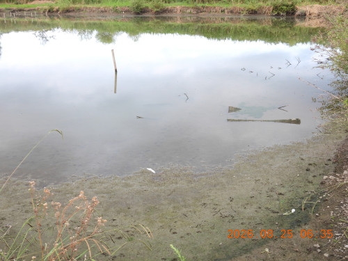 DSCN5285.JPG