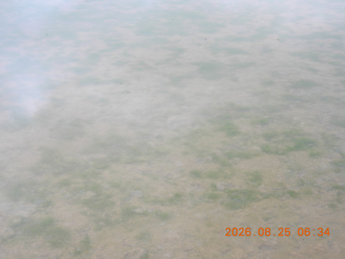 DSCN5284.JPG