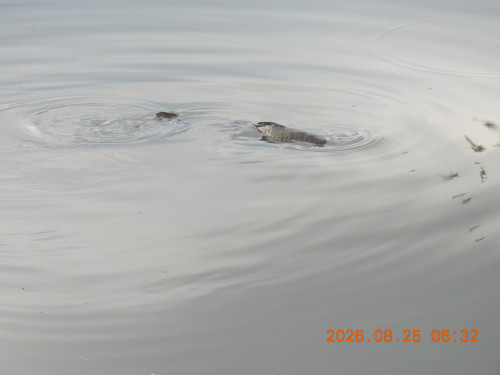 DSCN5282.JPG