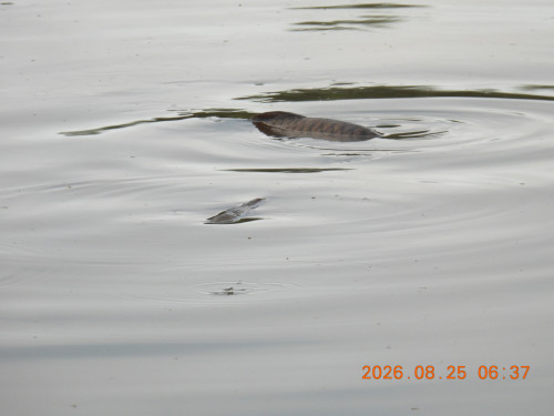 DSCN5293.JPG