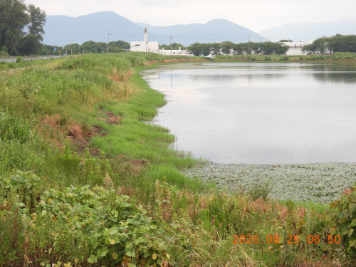 DSCN5296.JPG