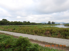 DSCN5297.JPG