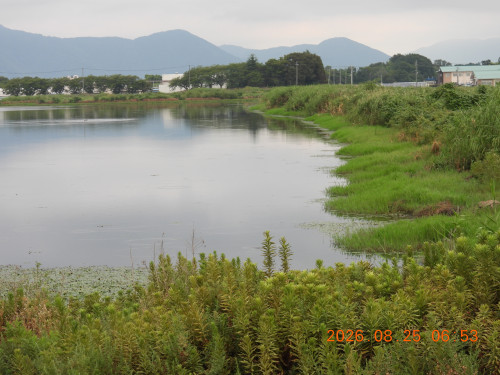 DSCN5299.JPG