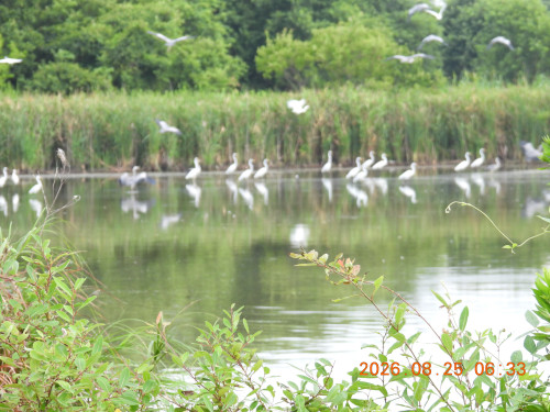 DSCN5283.JPG