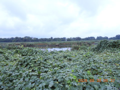 DSCN5302.JPG