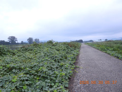 DSCN5303.JPG
