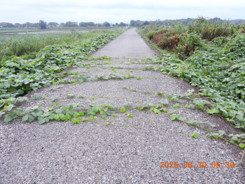 DSCN5305.JPG