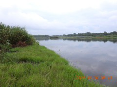DSCN5307.JPG