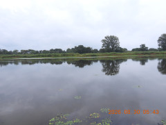 DSCN5308.JPG