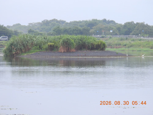 DSCN5310.JPG