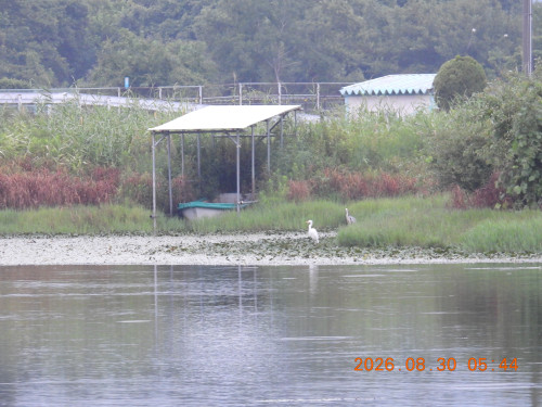 DSCN5311.JPG